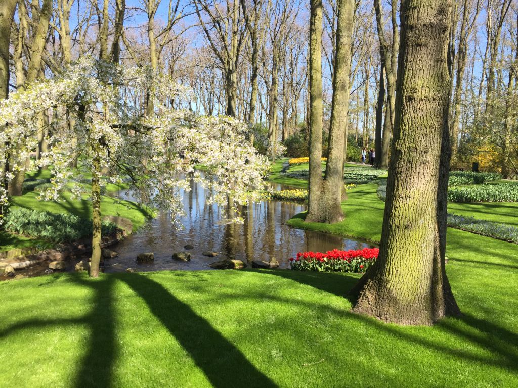 Fruehlingserwachen im Keukenhof bei Amsterdam