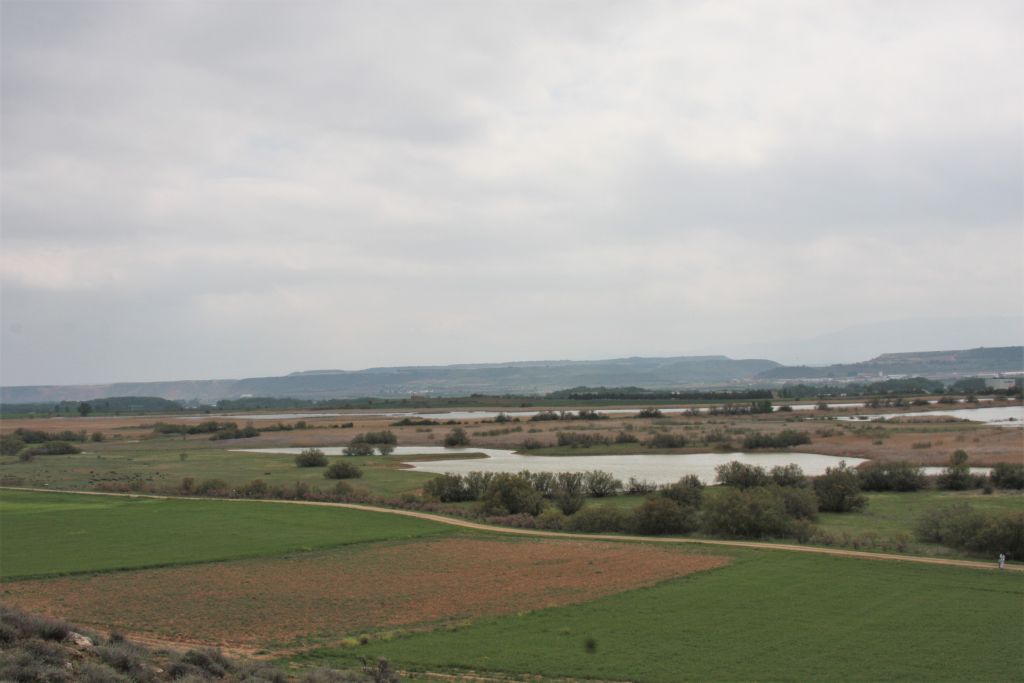 Naturreservat Laguna Las Cañas in der Naehe von Viana