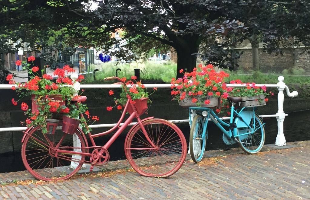 ein rot und ein tuerkis bemaltes Fahrrad mit Geranien dekoriert an einer Gracht in Delft