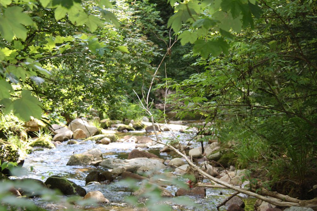 Allerheiligen Wasserfaelle im Nordschwarzwald