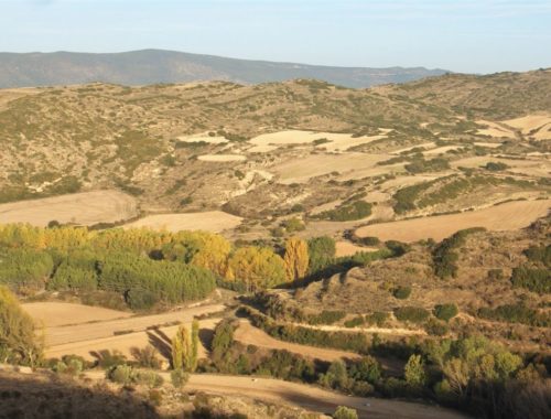 huegelige Landschaft in der Naehe von Sos del Rey Católico in Aragón