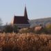 Blick über ein Schilfrohrfeld auf die Kirchenburg von Klosdorf / Cloaşterf in Siebenbuergen