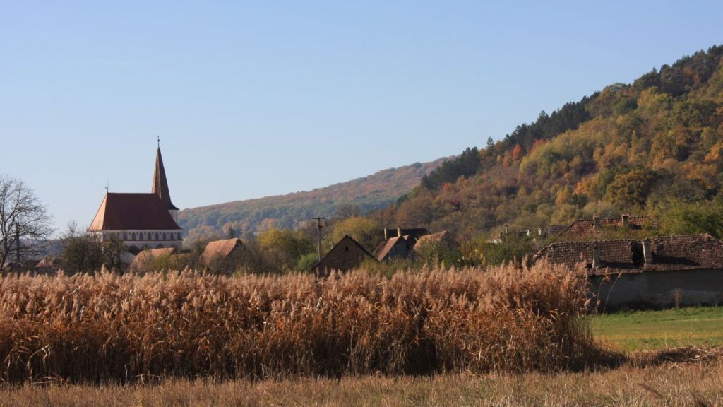 Blick über ein Schilfrohrfeld auf die Kirchenburg von Klosdorf / Cloaşterf in Siebenbuergen