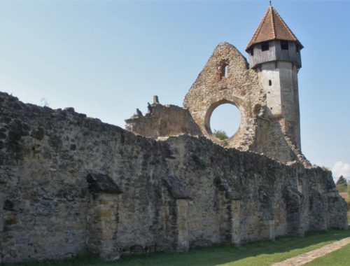 Ruine des Hauptschiffes des Zisterzienserklosters in Kerz / Cârţa