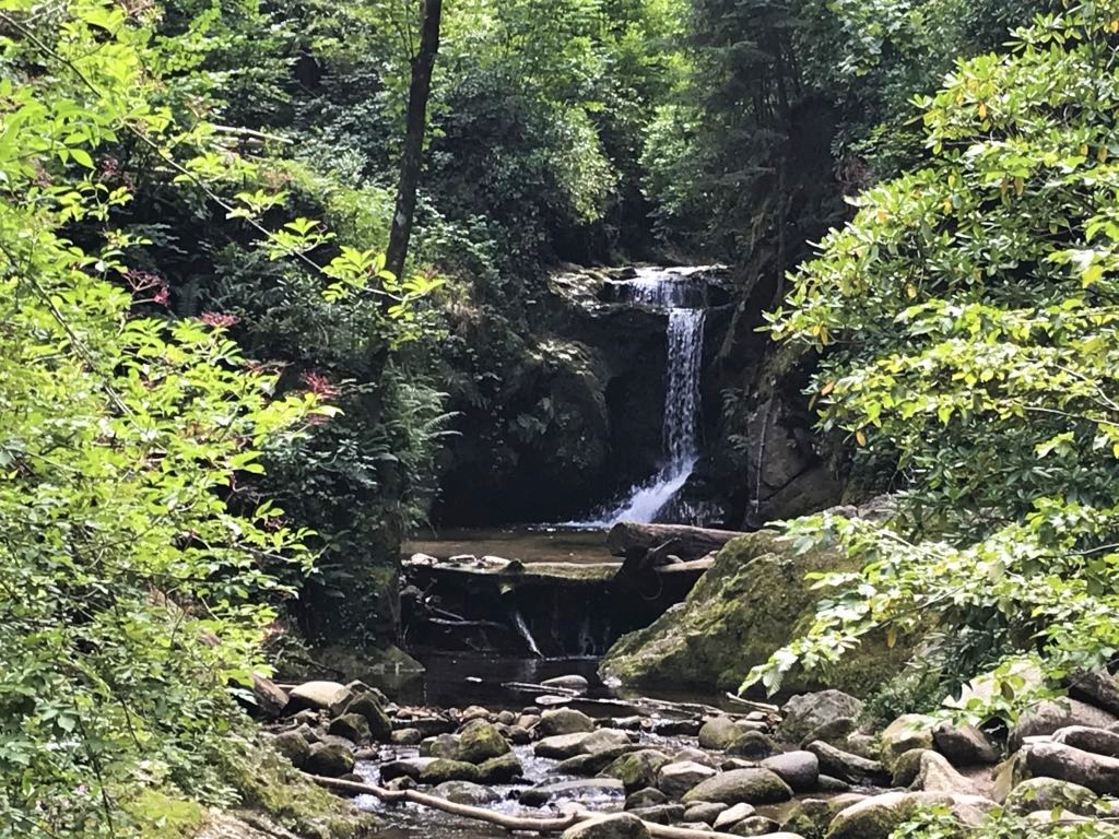 Geroldsauer Wasserfall im Nordschwarzwald