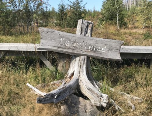 Hinweisschild Lotharpfad