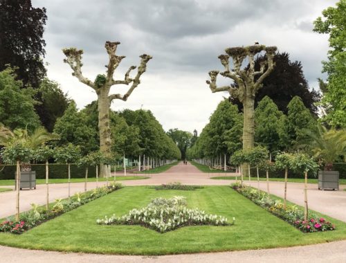 Parc de l'Orangerie in Strasbourg