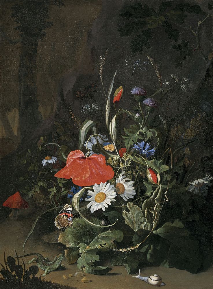 Anna Ruysch, Waldszene mit Blumen, 1685–1687; Privatsammlung