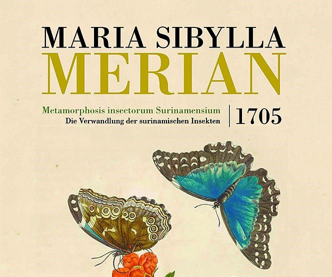 Ausschnitt Cover Faksimile Maria Sibylla Merian - Metamorphosis insectorum Surinamensium